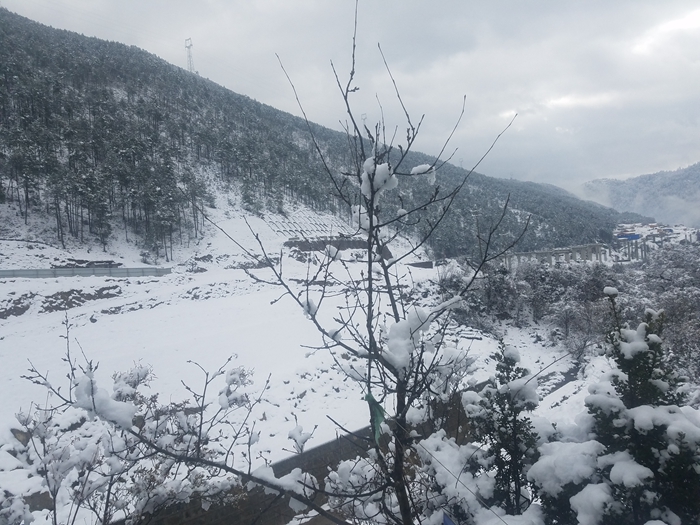 �й���7790�ط�����(�ɷ�)���޹�˾-�ٷ���վ